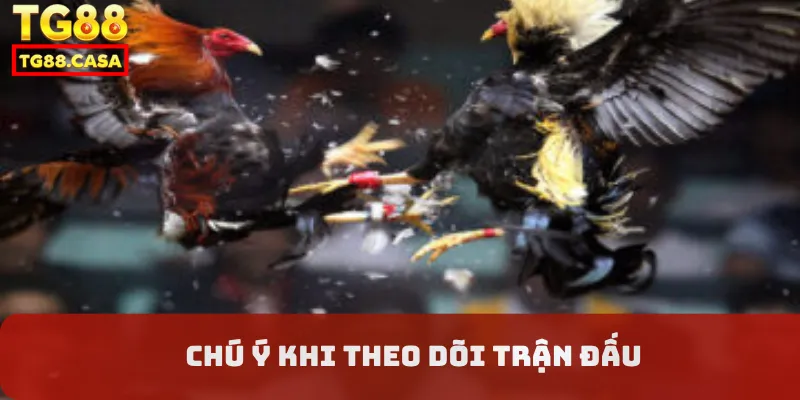 Chú ý khi theo dõi trận đấu