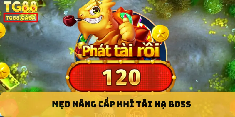 Mẹo nâng cấp khí tài hạ boss