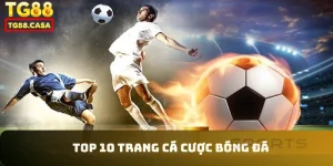 Top 10 trang cá cược bóng đá